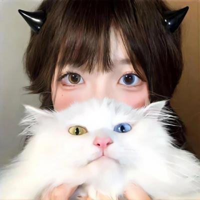 伪装者